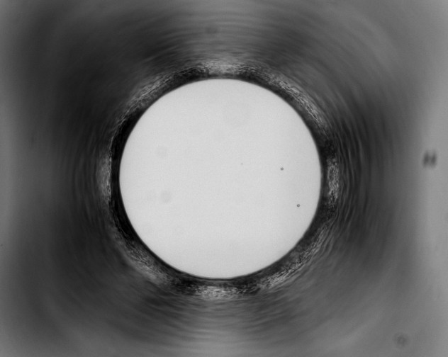 X0000103330494200810171427