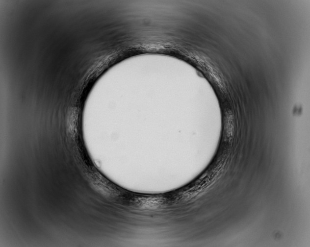 X0000103330495200810171427