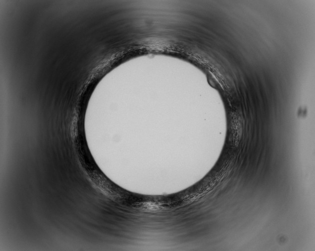 X0000103330496200810171427