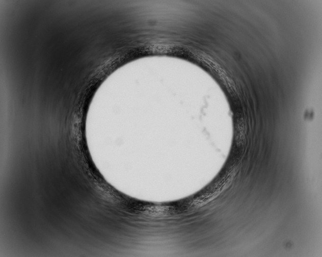 X0000103330497200810171427