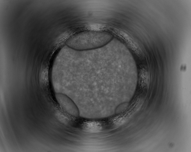 X0000103330500200810171427