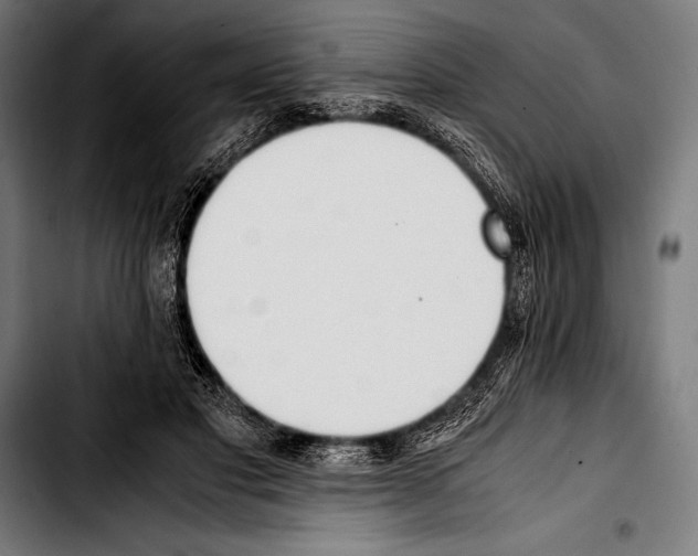 X0000103330501200810171427