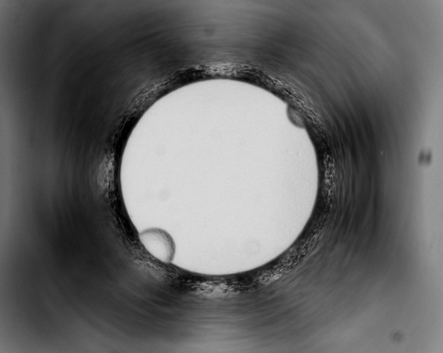 X0000103330502200810171427