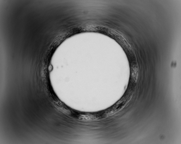 X0000103330503200810171427