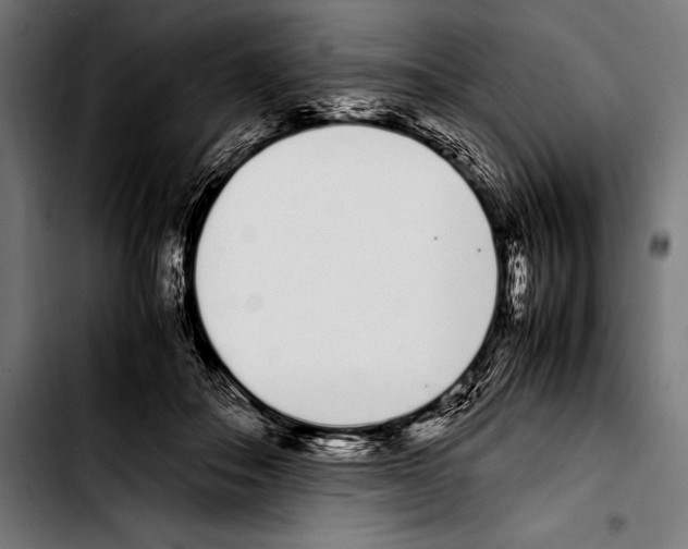 X0000103330506200810171427