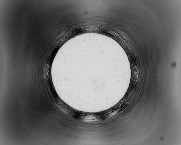 X0000103330507200810171427