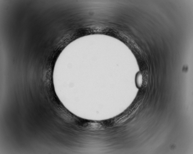 X0000103330509200810171427