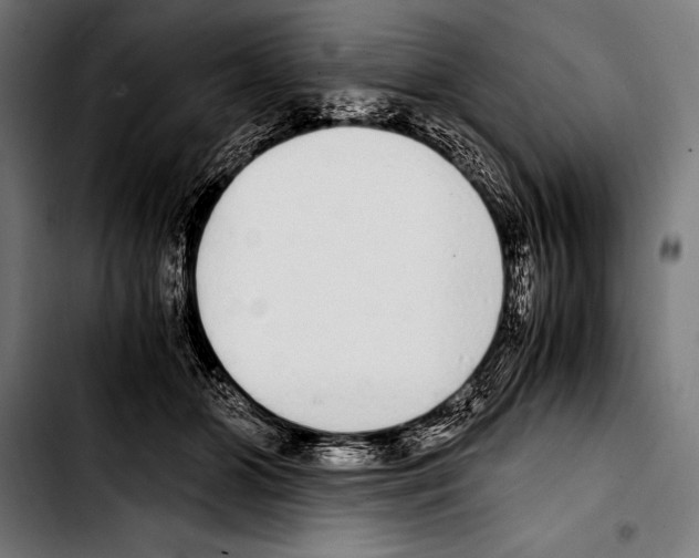 X0000103330510200810171427