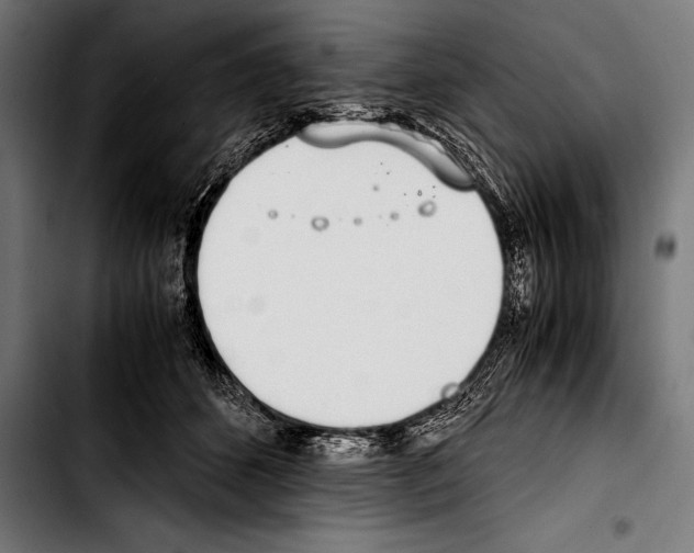 X0000103330512200810171427