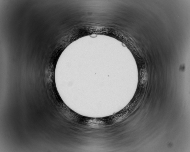 X0000103330515200810171427