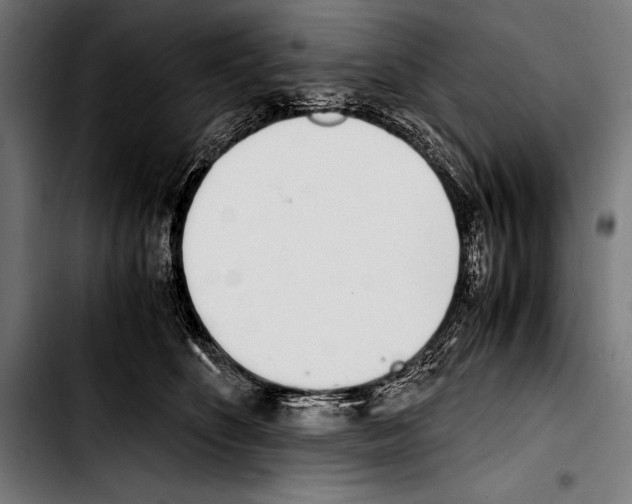 X0000103330516200810171427