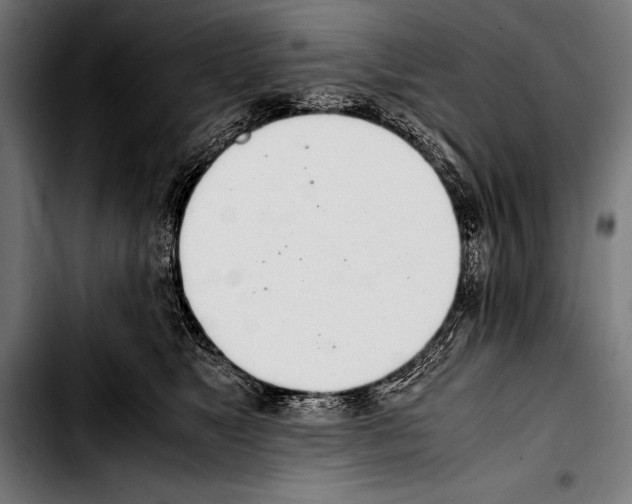 X0000103330517200810171427