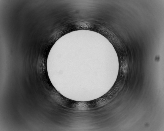 X0000103330518200810171427