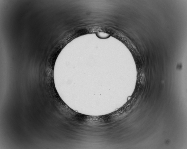 X0000103330521200810171427