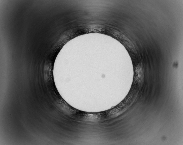 X0000103330522200810171427