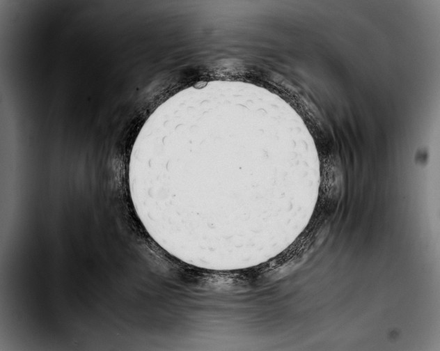 X0000103330523200810171427