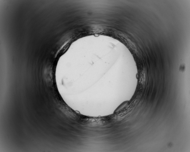 X0000103330524200810171427