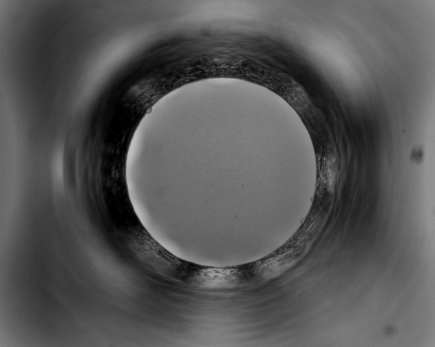 X0000103330526200810171427