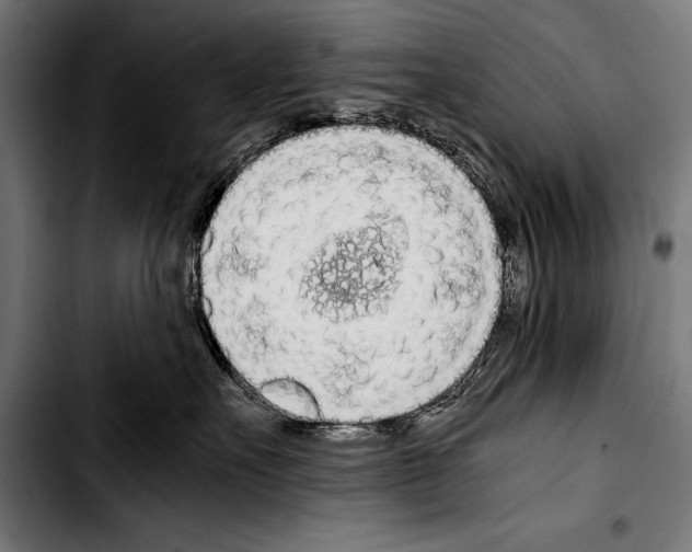 X0000103330527200810171427