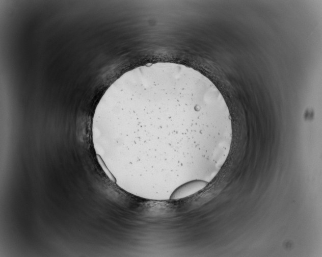 X0000103330528200810171427