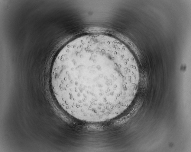 X0000103330529200810171426