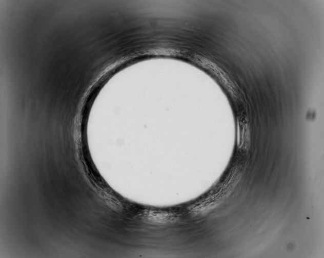 X0000103330531200810171426