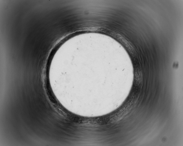 X0000103330532200810171426