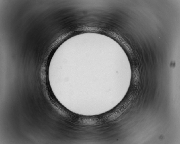 X0000103330533200810171426