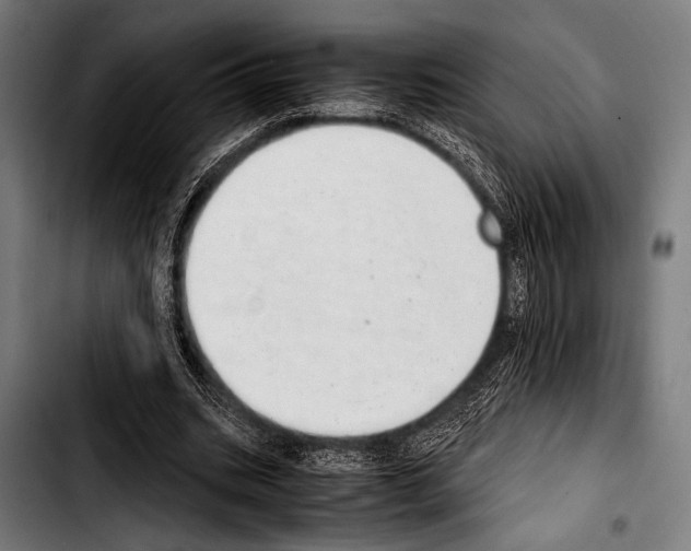 X0000103330535200810171426