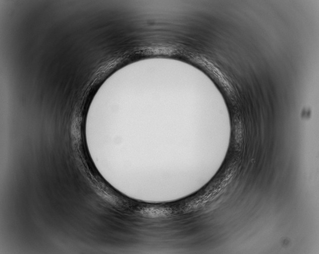 X0000103330537200810171426