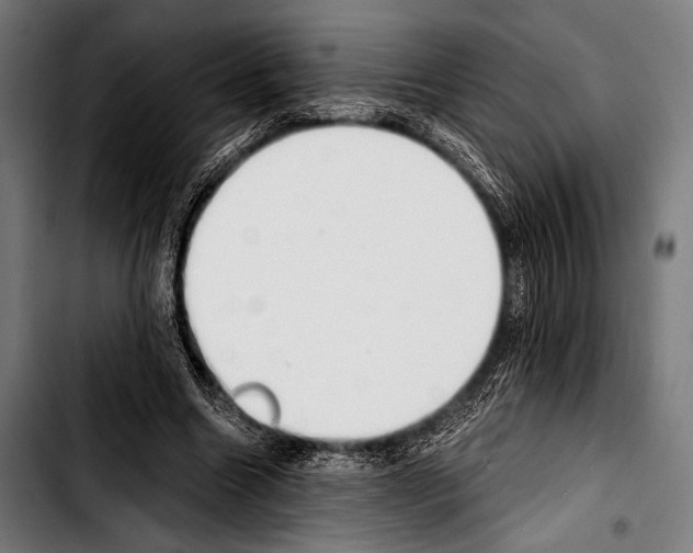 X0000103330538200810171426