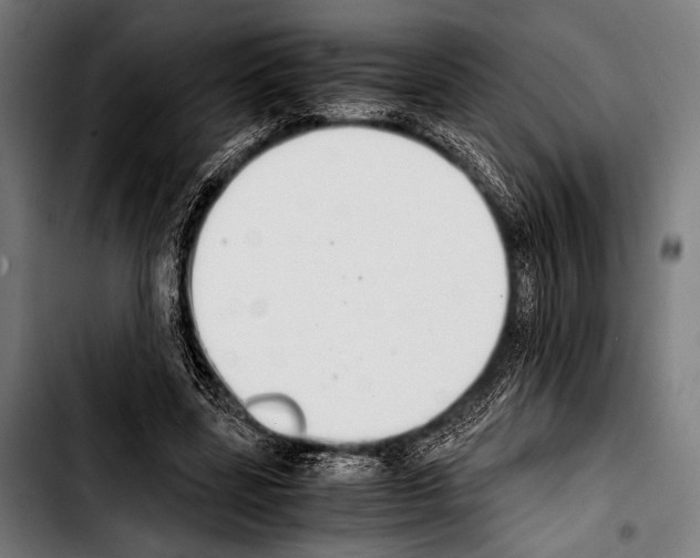 X0000103330539200810171426