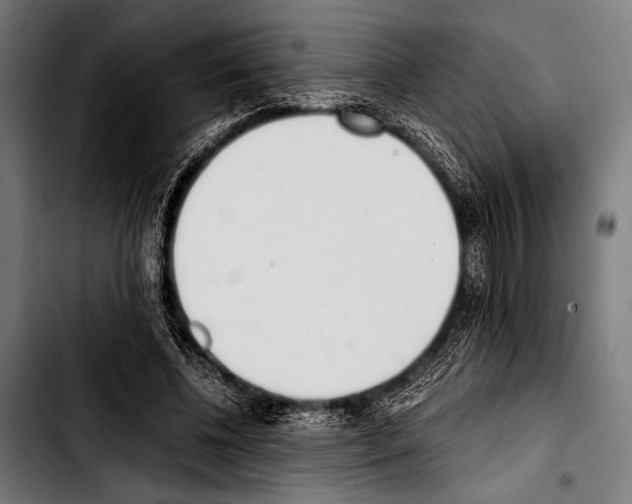 X0000103330540200810171426