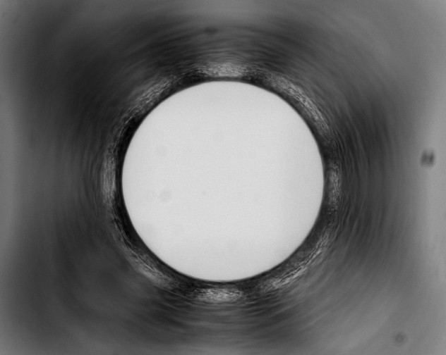 X0000103330541200810171426