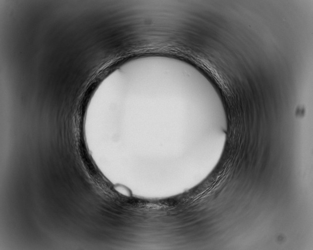 X0000103330542200810171426