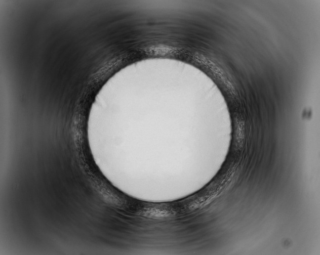 X0000103330545200810171426