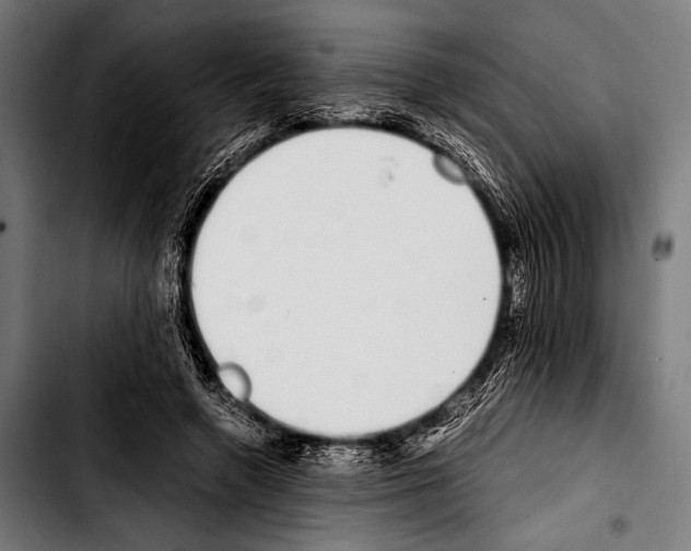 X0000103330546200810171426