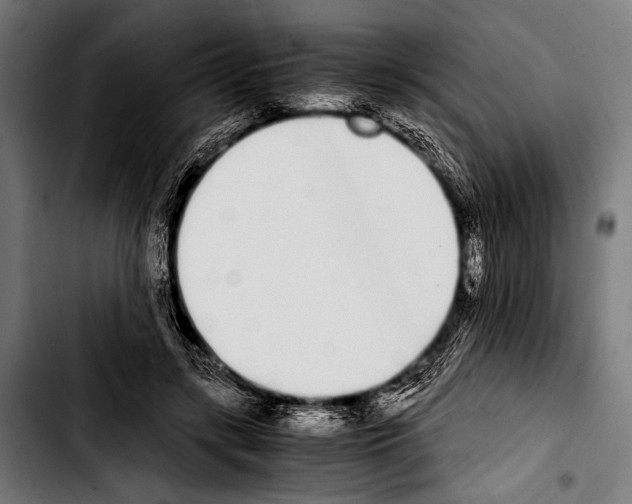 X0000103330547200810171426