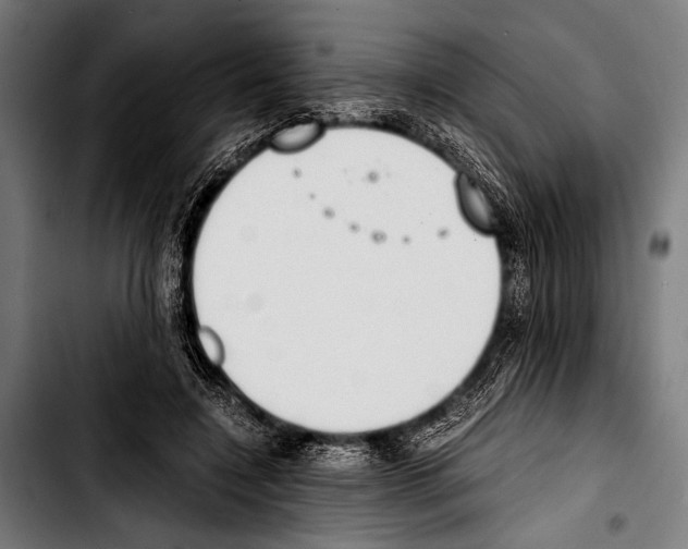 X0000103330548200810171426