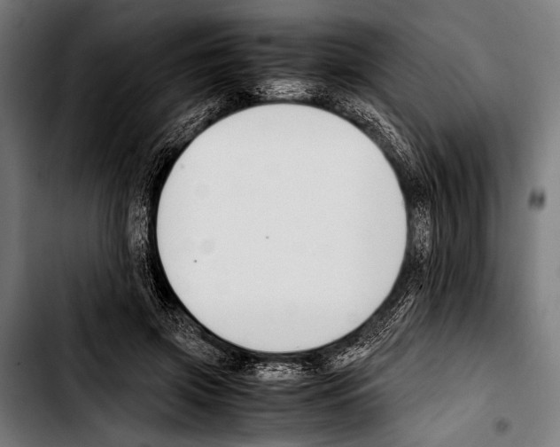 X0000103330549200810171426