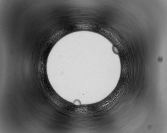 X0000103330551200810171426