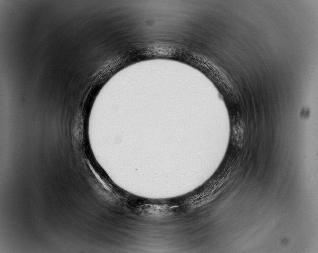 X0000103330552200810171426