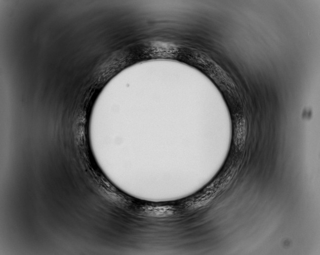 X0000103330553200810171426