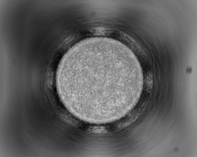 X0000103330554200810171426