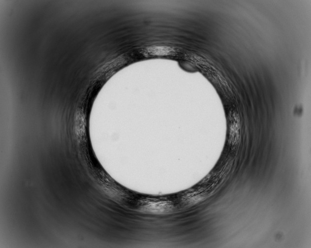 X0000103330555200810171426