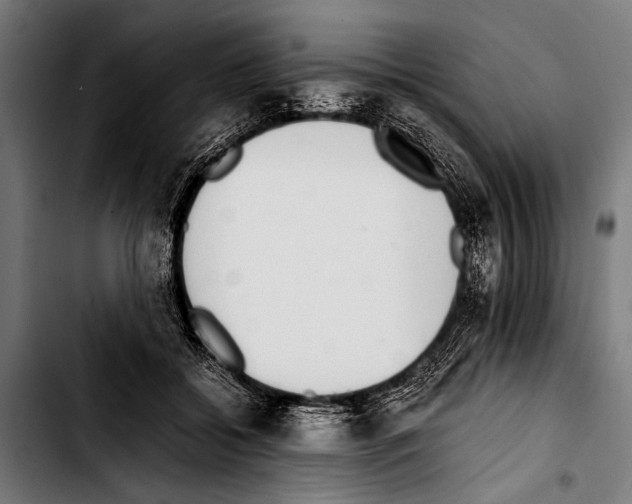 X0000103330556200810171426