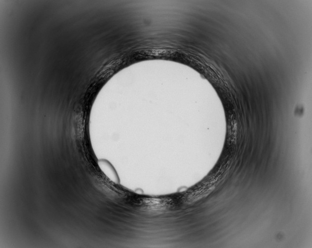 X0000103330558200810171426