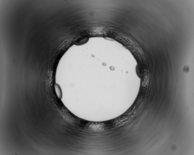 X0000103330560200810171426