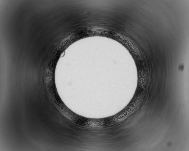 X0000103330563200810171426