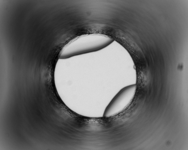 X0000103330566200810171426